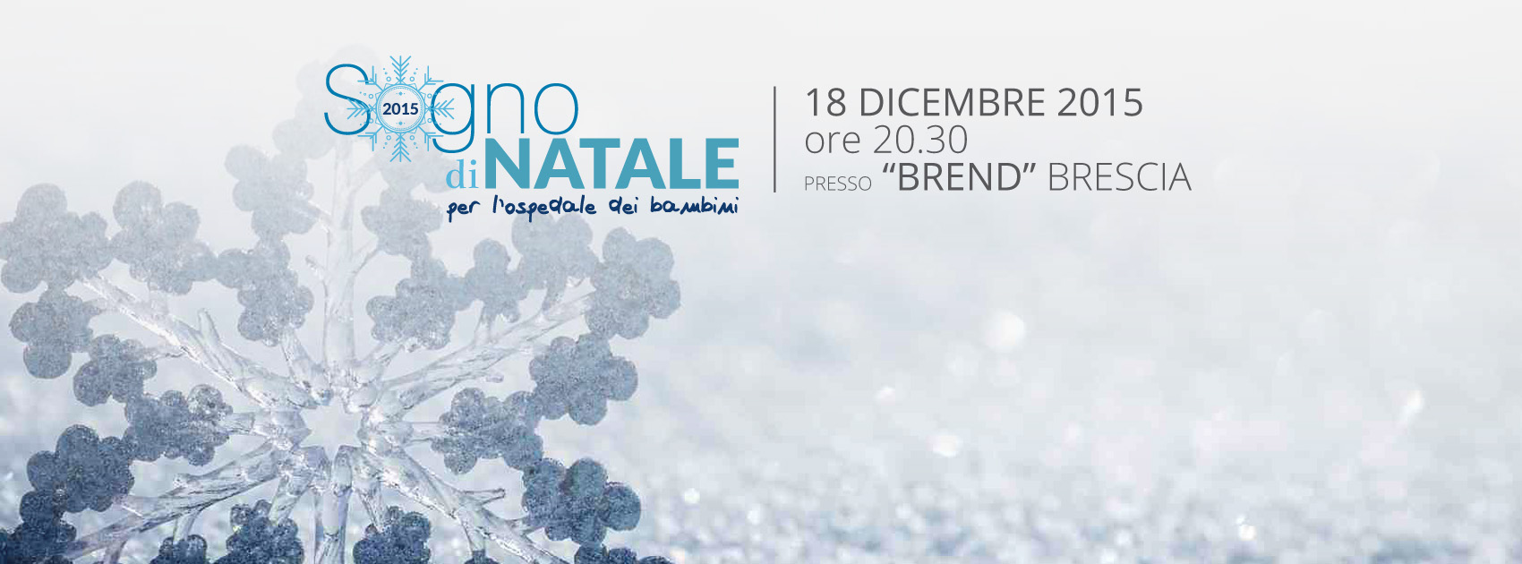 Alba-Consulting.Sogno-di-Natale-2015-Brescia