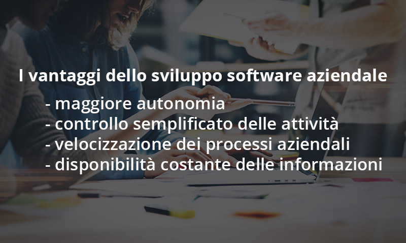 Vantaggi sviluppo software aziendale